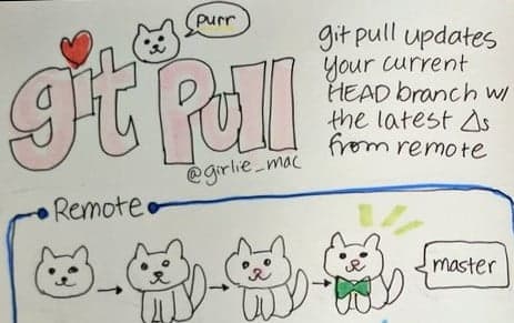 Git Commands Explained with Doodles!